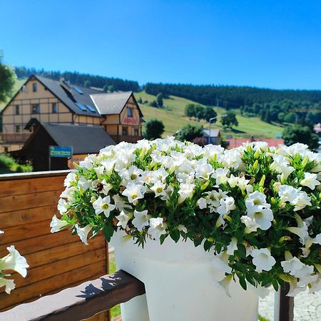 Ski&Spa Zieleniec Душники-Здруй Экстерьер фото